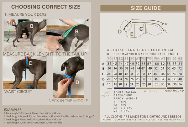 Miękkie kwiaty na szarym