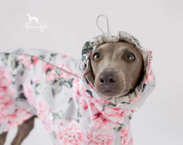 Miękkie kwiaty na szarym