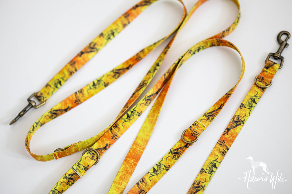Leashes