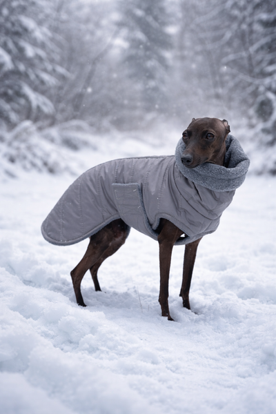 Dark gray with dark grey fleece