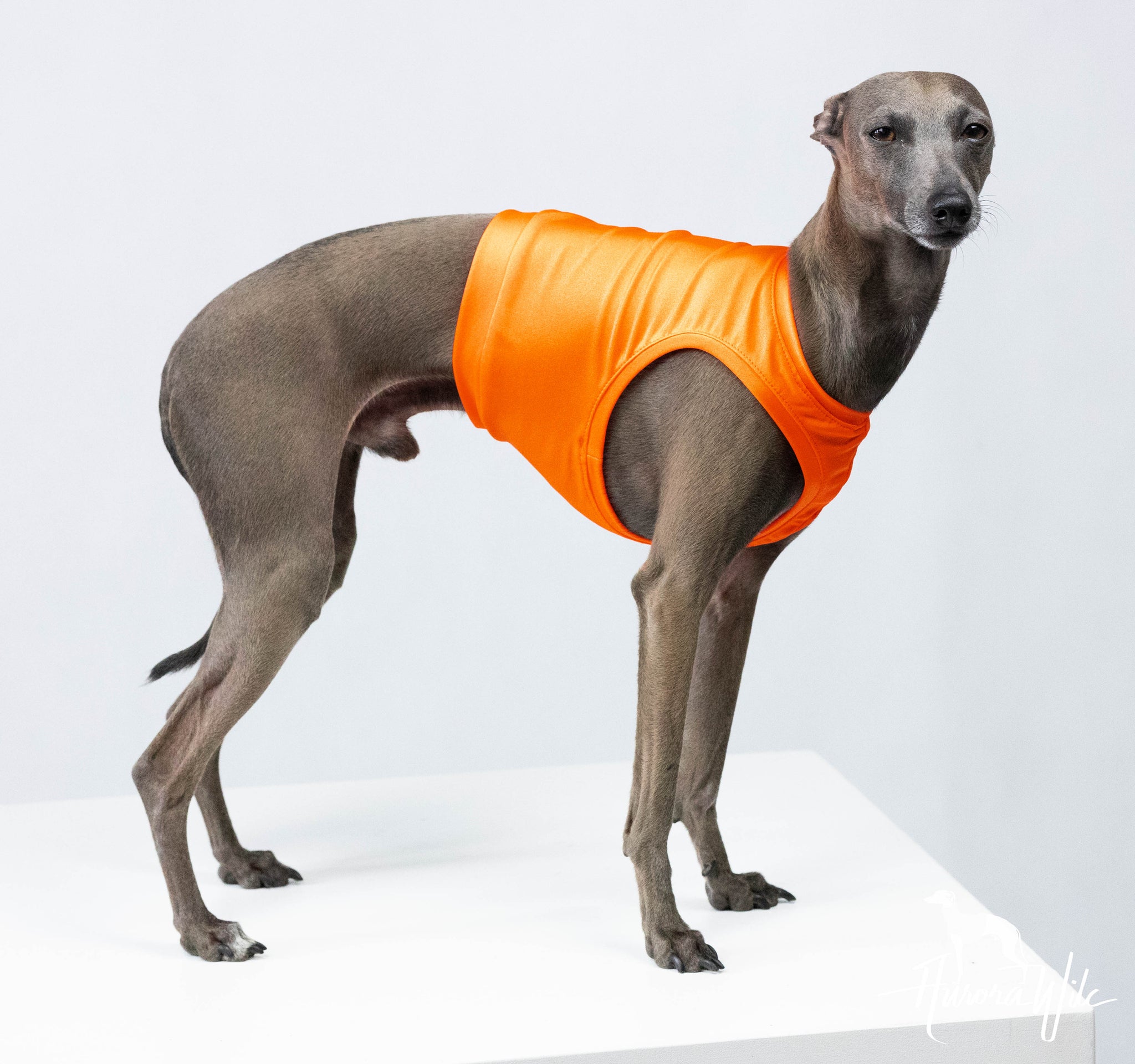 Orange neon short shirt