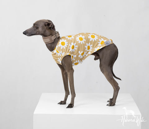Daisy UV & bug protection shirt