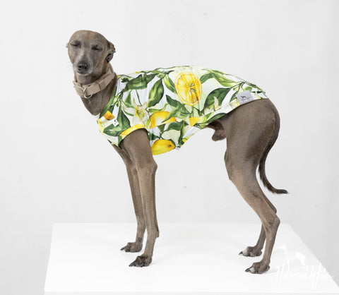 Lemons UV & bug protection shirt