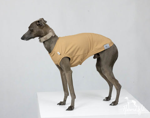 warm beige UV & cooling shirt