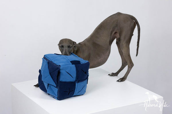 Sniffing cube