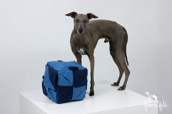 Sniffing cube