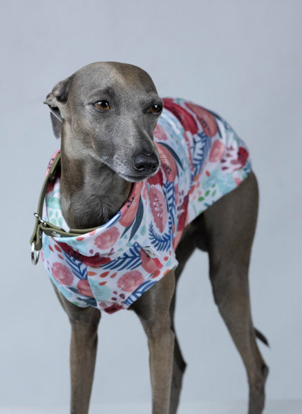 Poppy Flowers UV & bug protection shirt