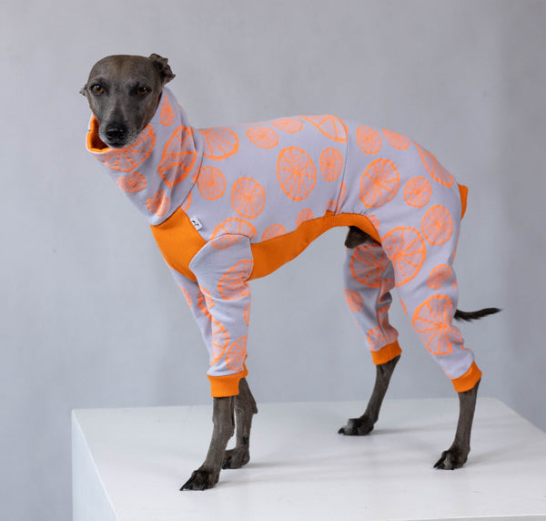 Limited - Summer orange onesie