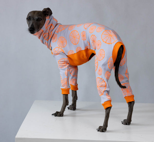 Limited - Summer orange onesie