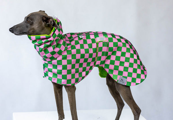 Checkered watermelon raincoat