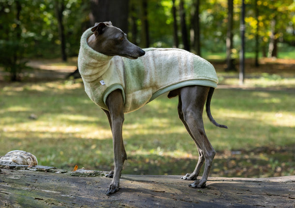 Limited Beige/green wool