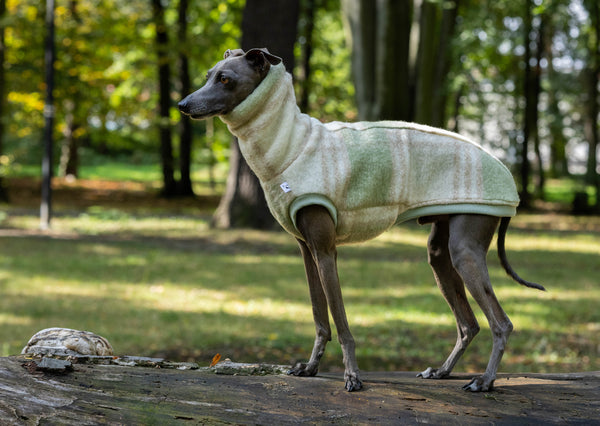 Limited Beige/green wool