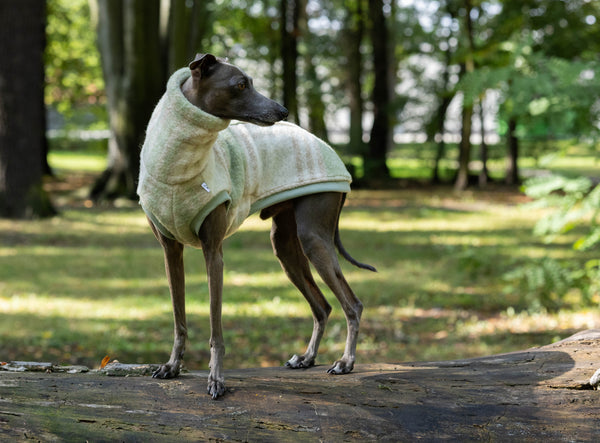 Limited Beige/green wool