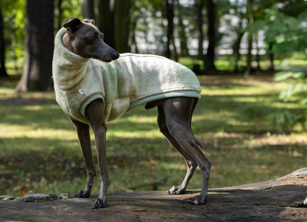 Limited Beige/green wool