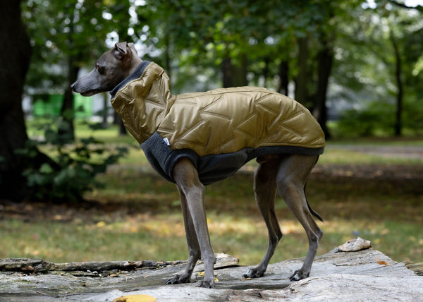 Olive puffer jacket