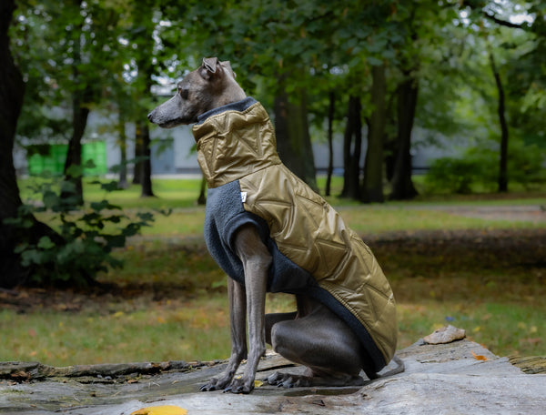 Olive puffer jacket