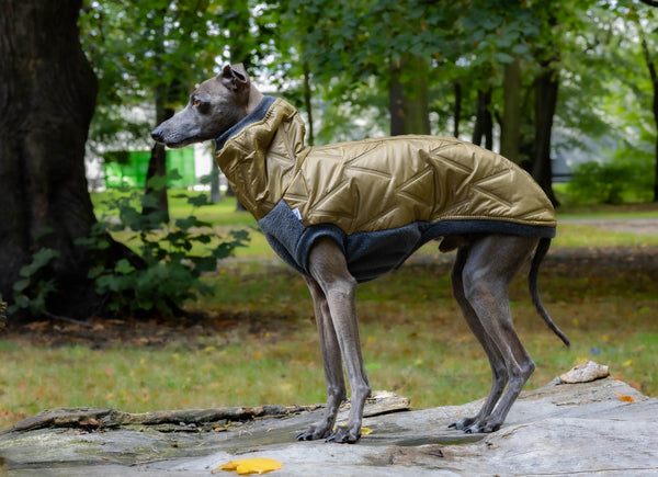 Olive puffer jacket