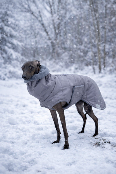 Dark gray with dark grey fleece