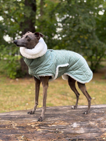 Rip-proof SAGE puffer with cream teddy