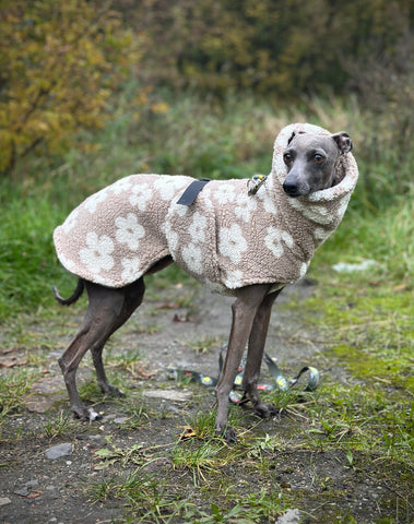 Daisy teddy cozy coat with belly cover