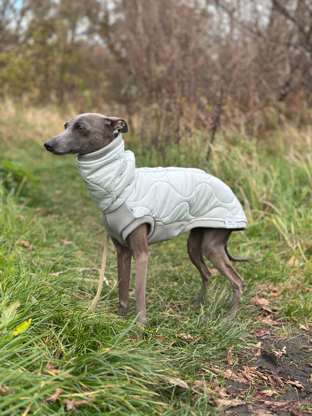 Sage puffer jacket