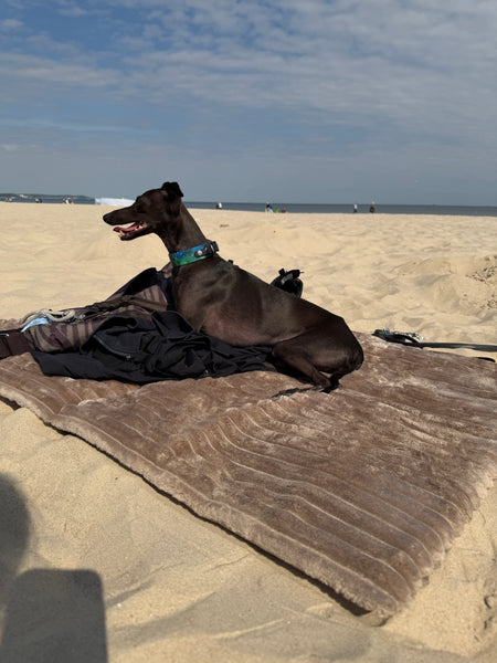 Beige Travel mat