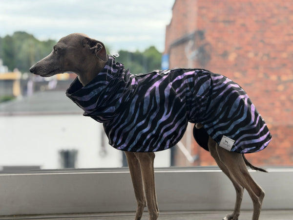 Light holo zebra raincoat