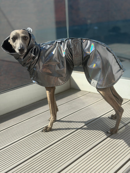 Liquid silver holo - raincoat