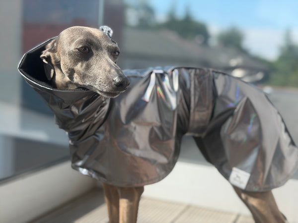 Liquid silver holo - raincoat