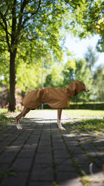 Old gold - raincoat