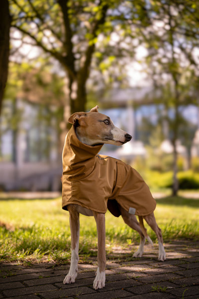 Old gold - raincoat