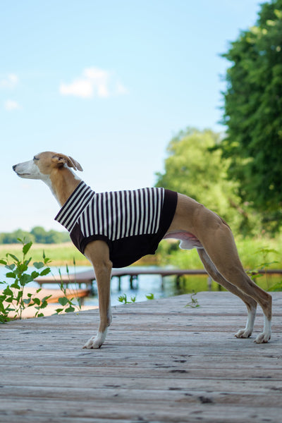 Chocolate stripes shirt