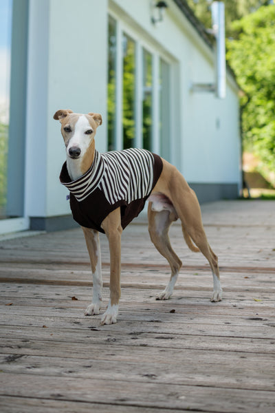 Chocolate stripes shirt