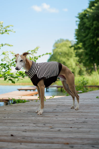 Chocolate stripes shirt