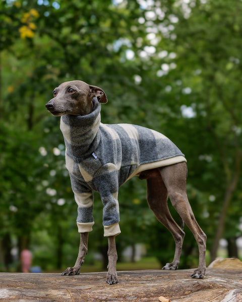 LIMITED /ZIPPER grey checkered wool