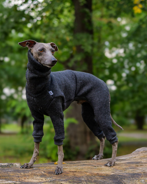 Graphite wool