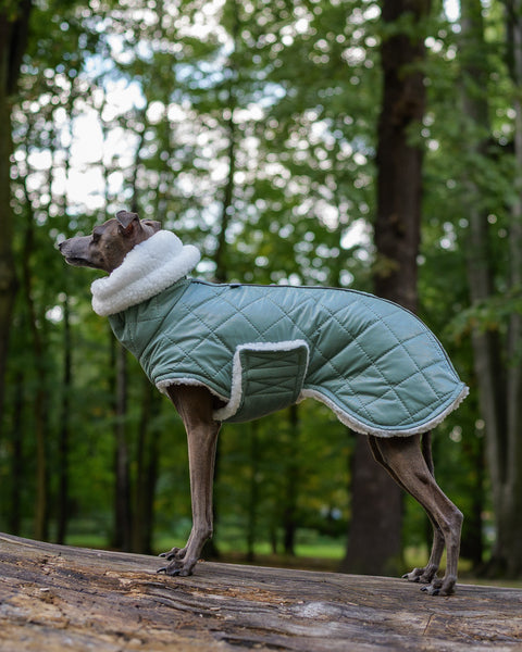 Rip-proof SAGE puffer with cream teddy