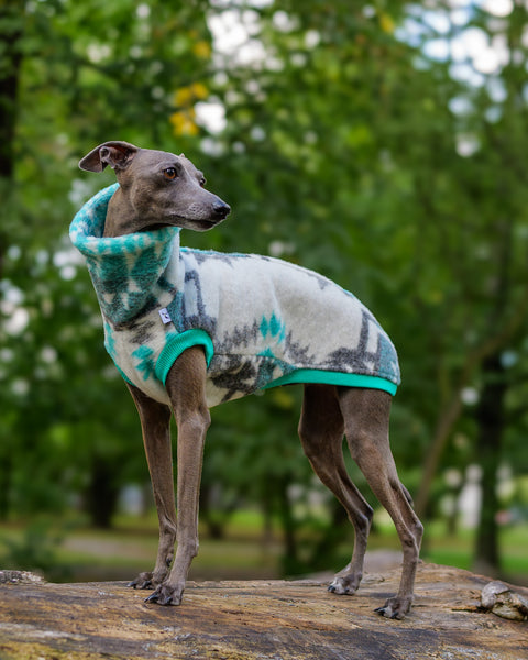 LIMITED WOOL turquoise aztec