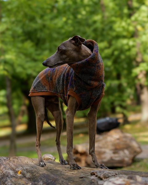 LIMITED WOOL autumn vibe