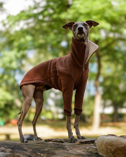 ZIPPER Chocolate jumper with sleeves