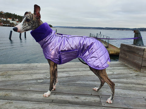 Purple pearl coat