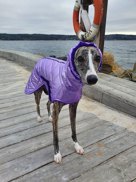 Purple pearl coat