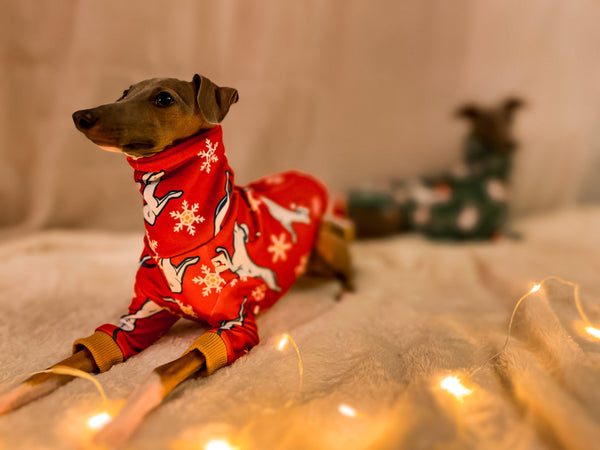 Christmas Greyhounds with sleeves