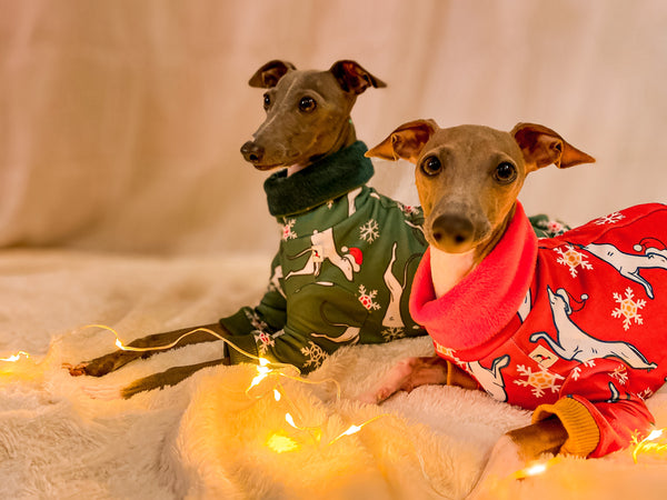 Christmas Greyhounds with sleeves